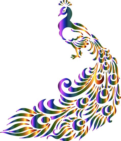 Colorful Peacock Abstract Animal Art Peacock Art Peacock Images