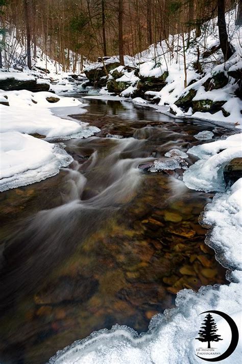 Kitchen Creek In Ricketts Glen State Park Pennsylvania Photo By Ed