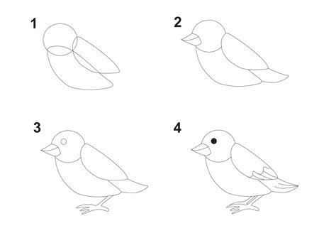 Kako Narisati Ptico S Svinčnikom Preprosta Navodila Po Korakih Za