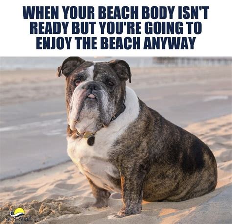 More Beach Memes Because Summer Is Right Around The Corner The Perfect Beach Day Memes