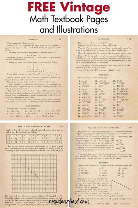 Free Vintage Algebra Textbook Pages And Illustrations Rose Clearfield