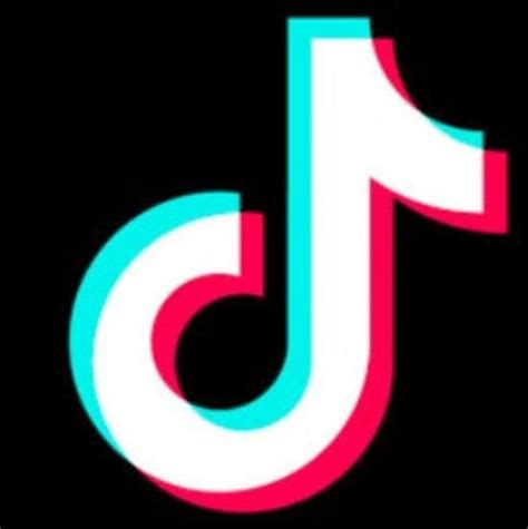 Download 1 3x3 inch Tik Tok Stickers | Etsy in 2020 | Snapchat logo ...