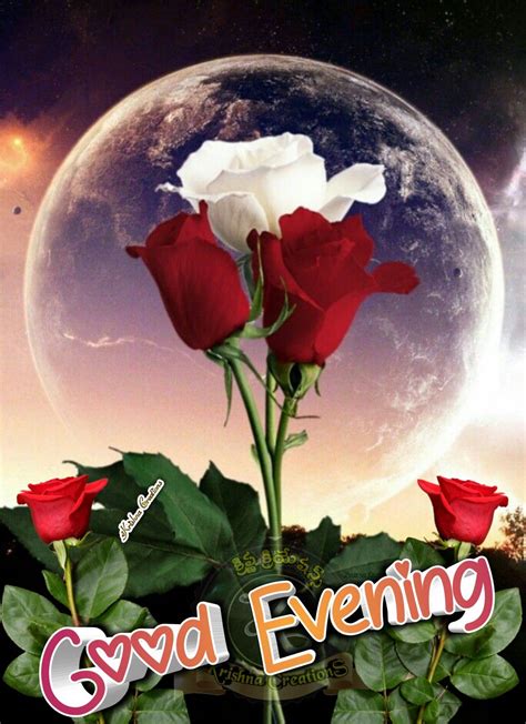 Good Evening Greetings With Beautiful Roses