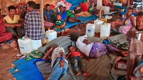 Ethiopias Tigray These Refugees Fled A Town Littered With Corpses