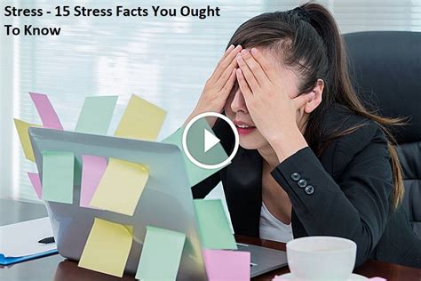 Stress 15 Stress Facts You Ought To Know Exampleng Trending News