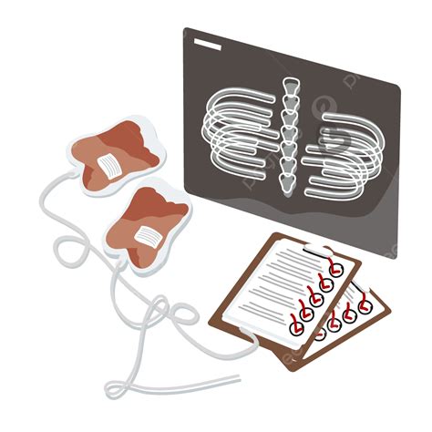 Chest X Ray Vector Png Images Vector X Ray Report Vector Bags Blood