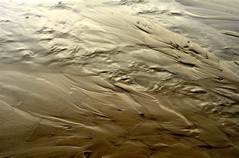 Water Flowing Over Sand Free Photo Download Freeimages