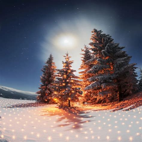 Buy Laeacco Dreamy Winter Snow Pine Trees Shining