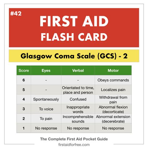 Glasgow Coma Scale Badge Card Accesorio Horizontal Para Enfermera