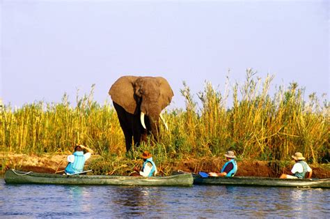 Lower Zambezi National Park Zambia Tourism