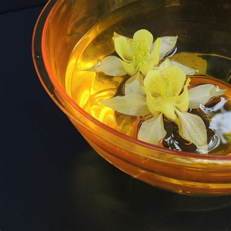 Fioraio bianchi caffè è anche un laboratorio floreale. Fiori Bianchi Vaso - Bush Di Piccoli Fiori Bianchi In Vaso Da Fiori Decorato In ... / Blu ...
