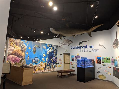 Exhibits International Wildlife Museum