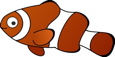 Gambar Ikan Cartoon - Gambar C