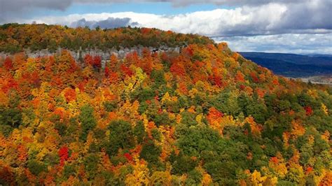 Thacher State Park Foliage Peak October 17 State Parks Natural