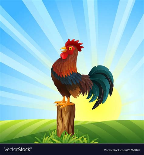 Cartoon Rooster Crowing At Dawn Vector Image On Vectorstock Cartoon