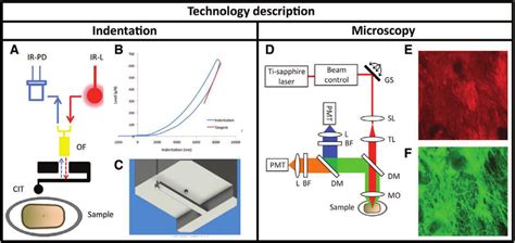 Overview Of Indentation And Multiphoton Laser Microscopy Technology A