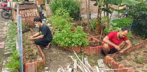 Satu Rumah Satu Kebun Ala Teman Berkebun Green Network Asia Indonesia
