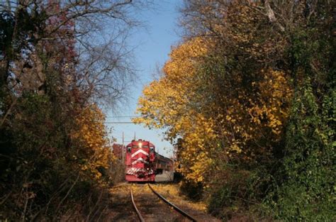 Take This Fall Foliage Train Ride Through New Jersey For A One Of A