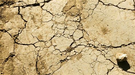 Hd Wallpaper Ground Texture Crack Dry Desert Earth Drought Dirt
