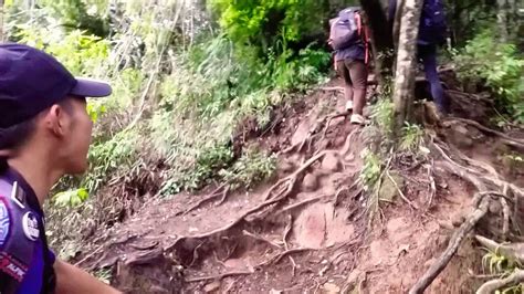 Cipanas garut cimanganten kabupaten garut jawa barat. Trekking Mt.Cikuray Kab.Garut.Jawa Barat - YouTube
