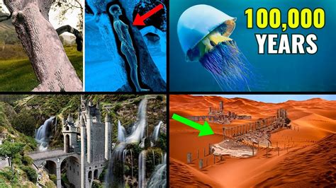 Most Mysterious & Amazing Recent Finds | ORIGINS EXPLAINED COMPILATION