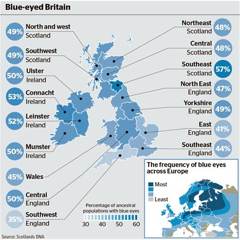 Blue Eyes Are More Common Than Any Other Colour In Britain Blazing