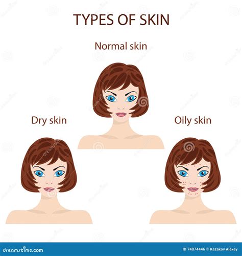 Types Of Skin Oily Normal And Dry Stock Vector Illustration Of Face