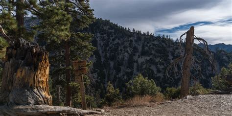 San Gorgonio Via Momyer Creek Trail Vivian Creek Trail Outdoor Project