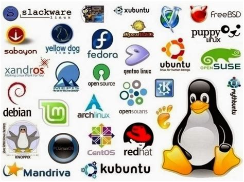 Cuál es el mejor sistema operativo para programadores