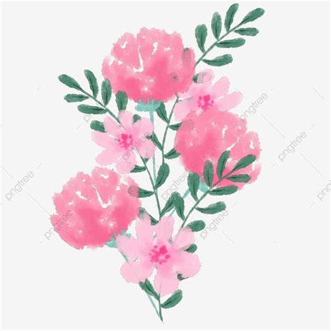 Free vintage carnation flowers clip art | carnation flower. Hand Painted Watercolor Carnation Cartoon Watercolor Pink ...