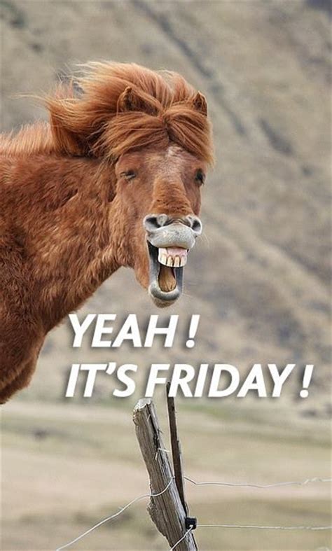 436 Best Images About Friday On Pinterest Friday Dance Happy Friday
