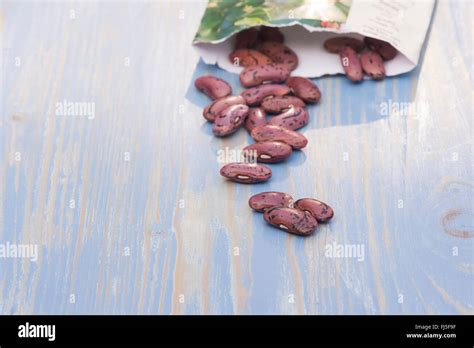 Phaseolus Coccineus Runner Bean Seeds Stock Photo Alamy