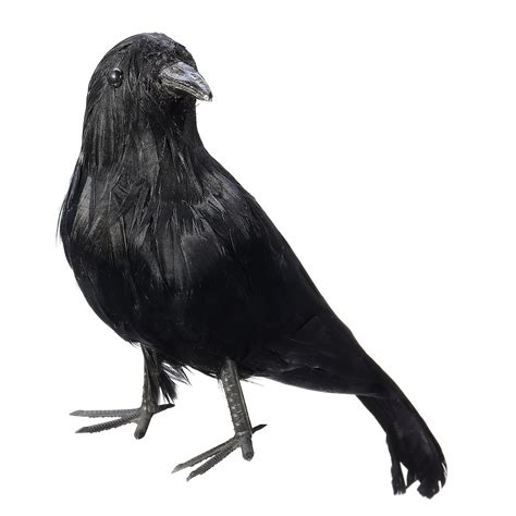New Spooky Black Feathered Lifelike Scary Halloween Raven Crow Prop