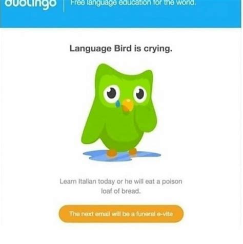 26 Duolingo Memes Thatll Strike Fear In Your Heart Duolingo