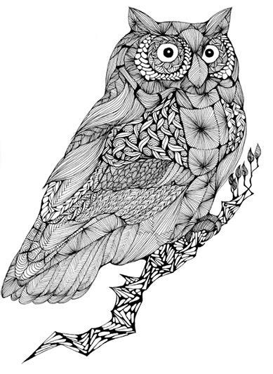 Zentangle Owl Bird Coloring Pages Zentangle Animals