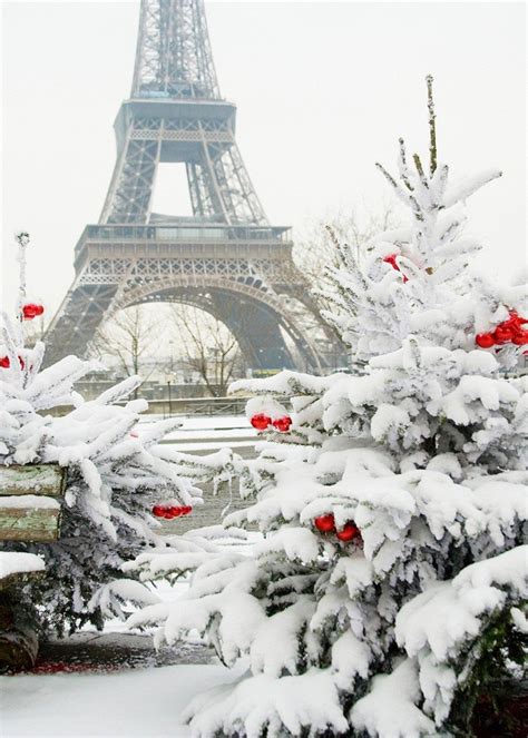 Natural Winter Photography Backdrops Frozen Snow Eiffel