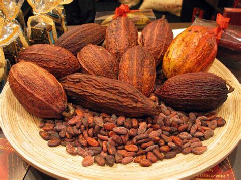 Potensi Ekspor Biji Kakao Indonesia Kickrate Logistic
