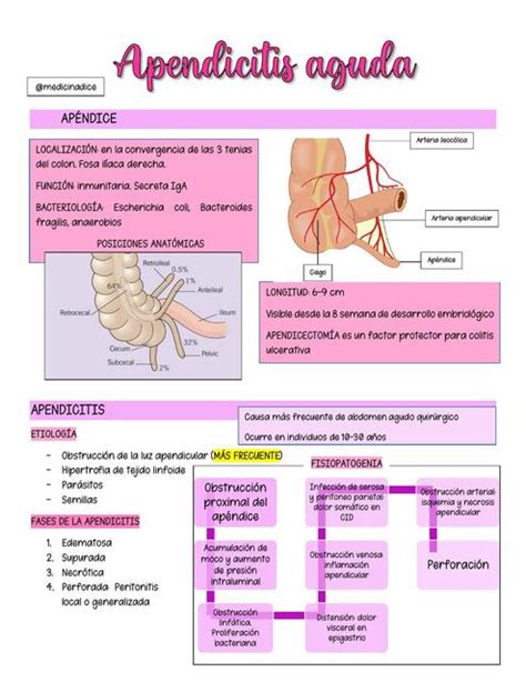 Apendicitis Aguda Resumen Con Imagenes Apendicitis Aguda Definicion The Best Porn Website