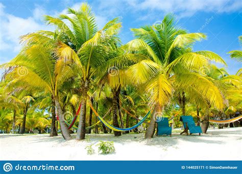 South Water Caye In Belize Small Caribbean Paradise