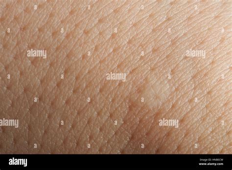 Macro Of Pores On Human Hand Skin Stock Photo Alamy