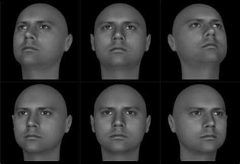 Synthetic Faces Of The Same Person With Different Viewing Angles