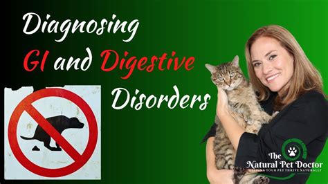 Diarrhea In Dogs And Cats Causes Symptoms And Diagnosis Diarrhea