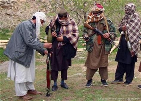 taliban militants caught having sex with cow in badakhshan the khaama press news agency