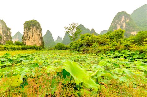 View On Karst Mountains And Limestone Peaks Of Li River In China Stock
