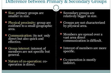 What Is The Difference Between Primary And Secondary Group Brainlyph