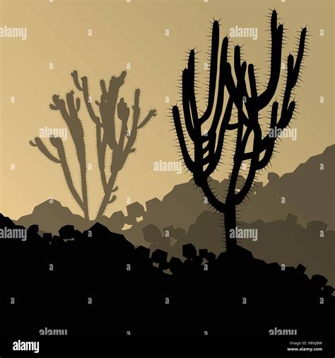 Cactus Detailed Silhouettes Nature Desert Landscape Illustration Vector