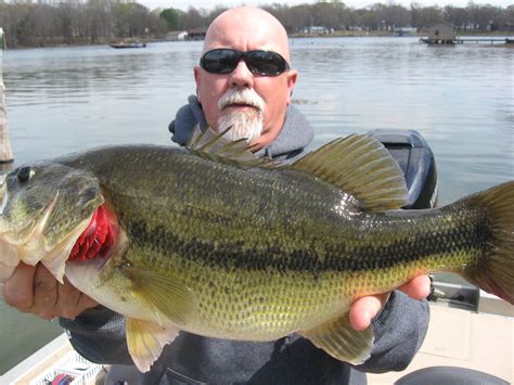 Big Bass Pictures Photos Of Trophy Bass