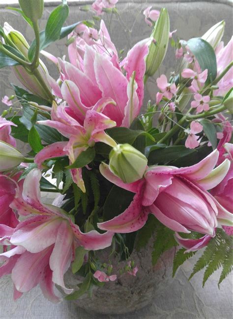 Mckenzie Botanicals Pretty In Pink Floral Design Pretty In Pink