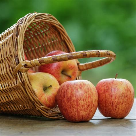 Apples A Dietitians Guide Harris Farm Markets
