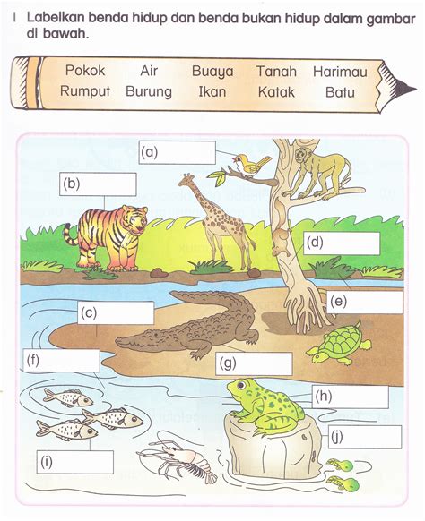 Lembaran Kerja Sains Tahun Benda Hidup Dan Bukan Hidup Wallpaper My